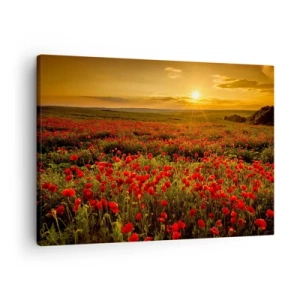 Impression sur toile - Image sur toile - Un champ de coquelicots rouges dans la lueur du soleil couchant - 70x50cm - Parmi les vagues des prairies bruissantes, parmi les fleurs du déluge - Décoration murale moderne pour le salon et la chambre ARTTOR