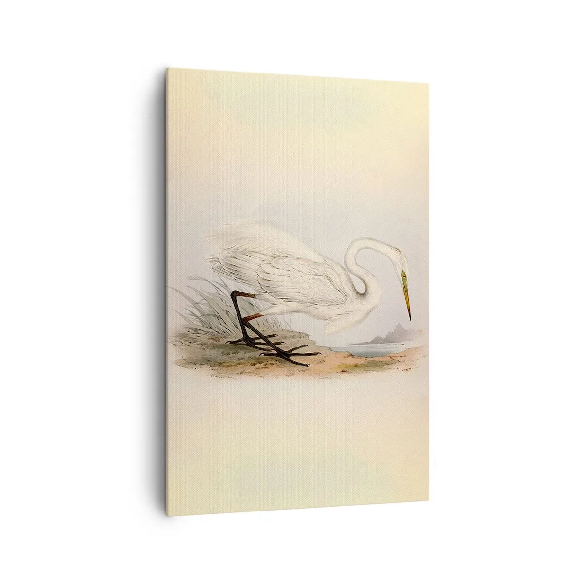 Impression sur toile - Image sur toile - Dessin d'un héron blanc sur fond de paysage naturel - 80x120cm - Dame sur les joncs - Décoration murale moderne pour le salon et la chambre ARTTOR