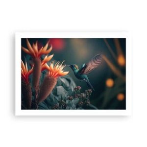 Affiche - Poster - une vie vraiment colorée - 70x50 cm