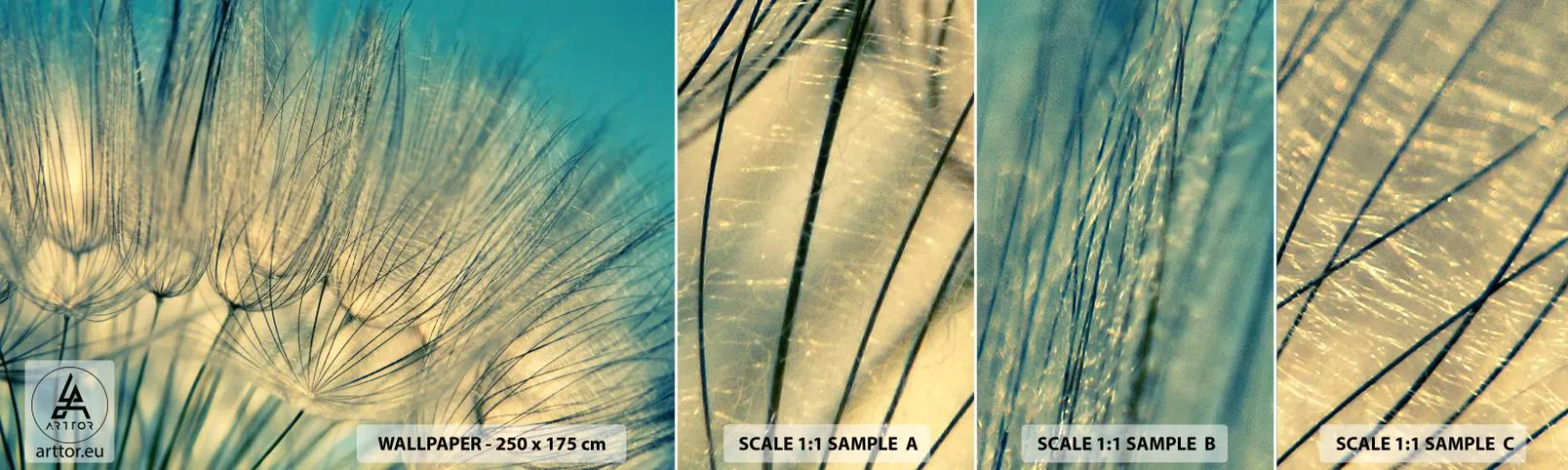 Échantillon de Papier Peint Autocollant Deluxe Sticker - En attente du vent - Pissenlit, Prairie, Nature - 100x30 cm