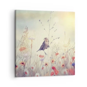 Impression sur toile - Image sur toile - Portrait d'oiseau sur pré en fond - 50x50 cm