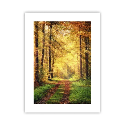 Affiche - Poster - Silence d'or en forêt - 30x40 cm