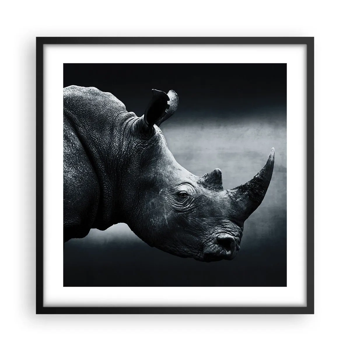 Affiche dans un cadre noir - Poster - Le profil droit - 50x50 cm