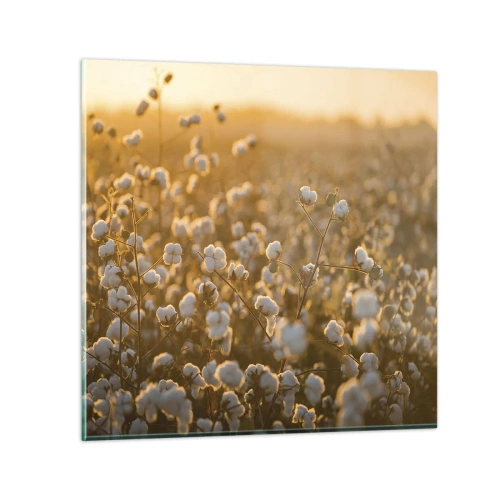 Impression sur verre - Image sur verre - Champ moelleux - 70x70 cm