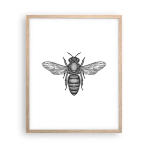 Affiche dans un chêne clair - Poster - Portrait d'insecte - 40x50 cm