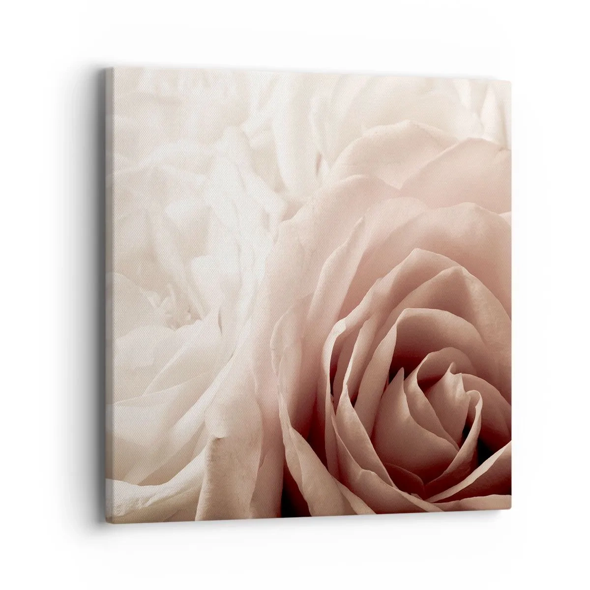 Impression sur toile - Image sur toile - Au coeur d'ue la rose - 40x40 cm