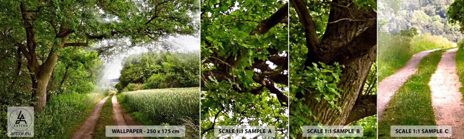 Échantillon De Papier Peint Standard Eco - Et in Arcadia ego - Paysage, Chemin de terre, Nature - 100x30 cm