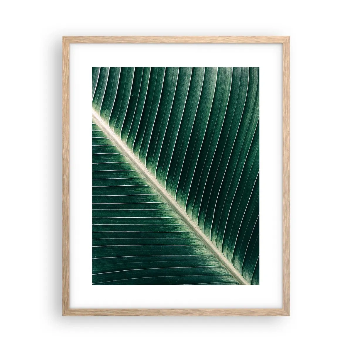 Affiche dans un chêne clair - Poster - Le rythme de la nature - 40x50 cm