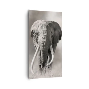 Impression sur toile - Image sur toile - Patriarche africain - 65x120 cm