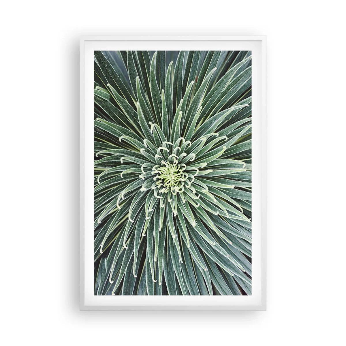 Affiche dans un cadre blanc - Poster - Naissance d'une étoile - 61x91 cm