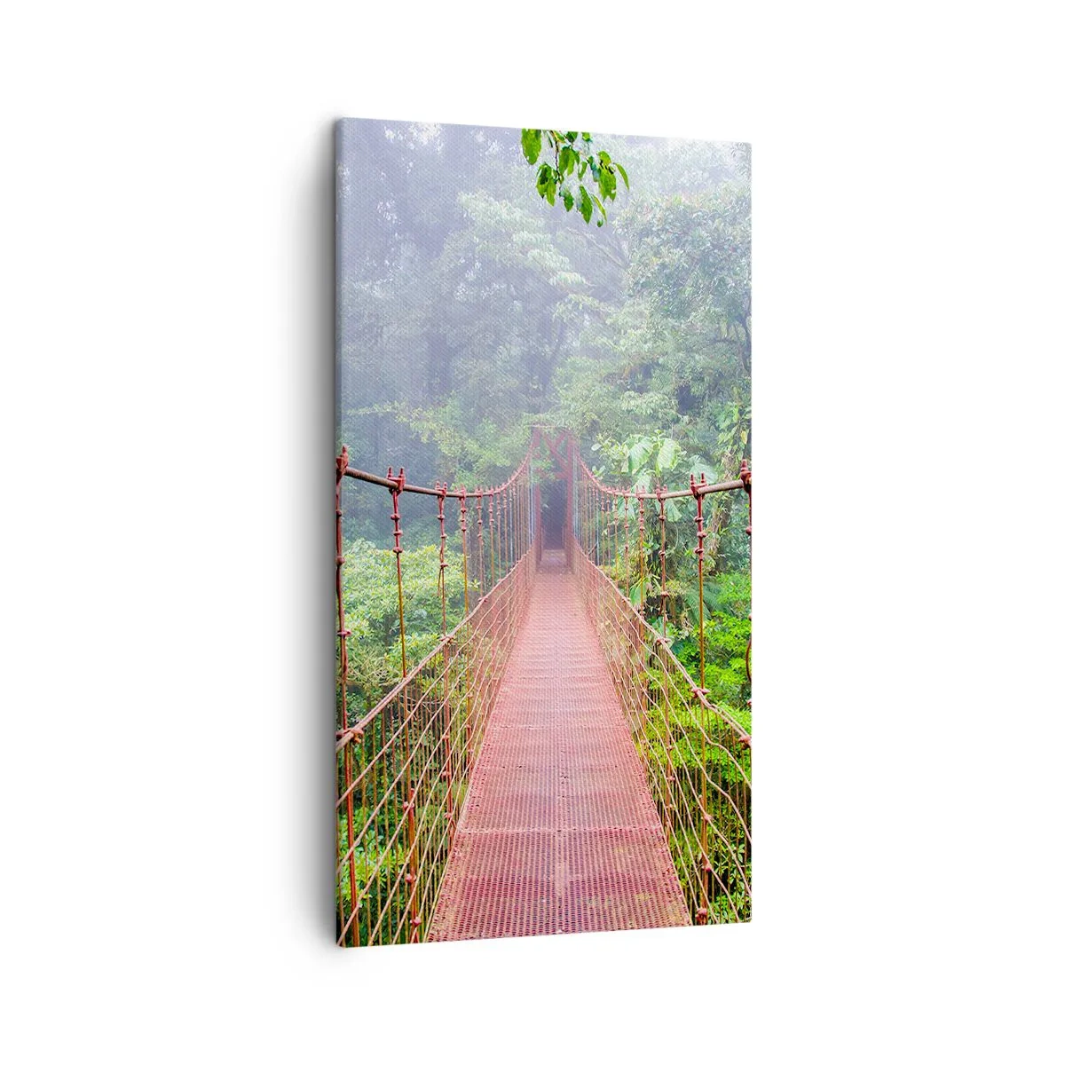 Impression sur toile - Image sur toile - Suspendu sur les couronnes - 45x80 cm