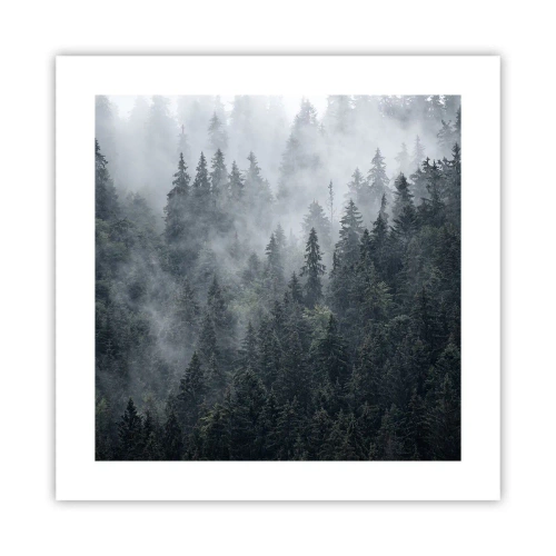 Affiche - Poster - Aube de la forêt - 40x40 cm