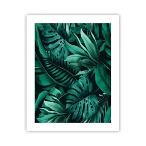 Affiche - Poster - Profondeur du vert tropical - 40x50 cm