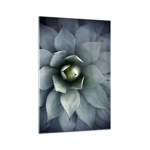 Impression sur verre - Image sur verre - Gros plan d'une rosette d'agave aux délicates nuances de vert - 70x100cm - Wabi et observe - Décoration murale moderne pour le salon et la chambre ARTTOR