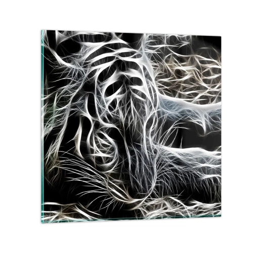 Impression sur verre - Image sur verre - Une étude de la légèreté du chat - 50x50 cm