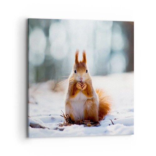 Impression sur toile - Image sur toile - Qu'est ce que tu regardes comme ça? - 70x70 cm