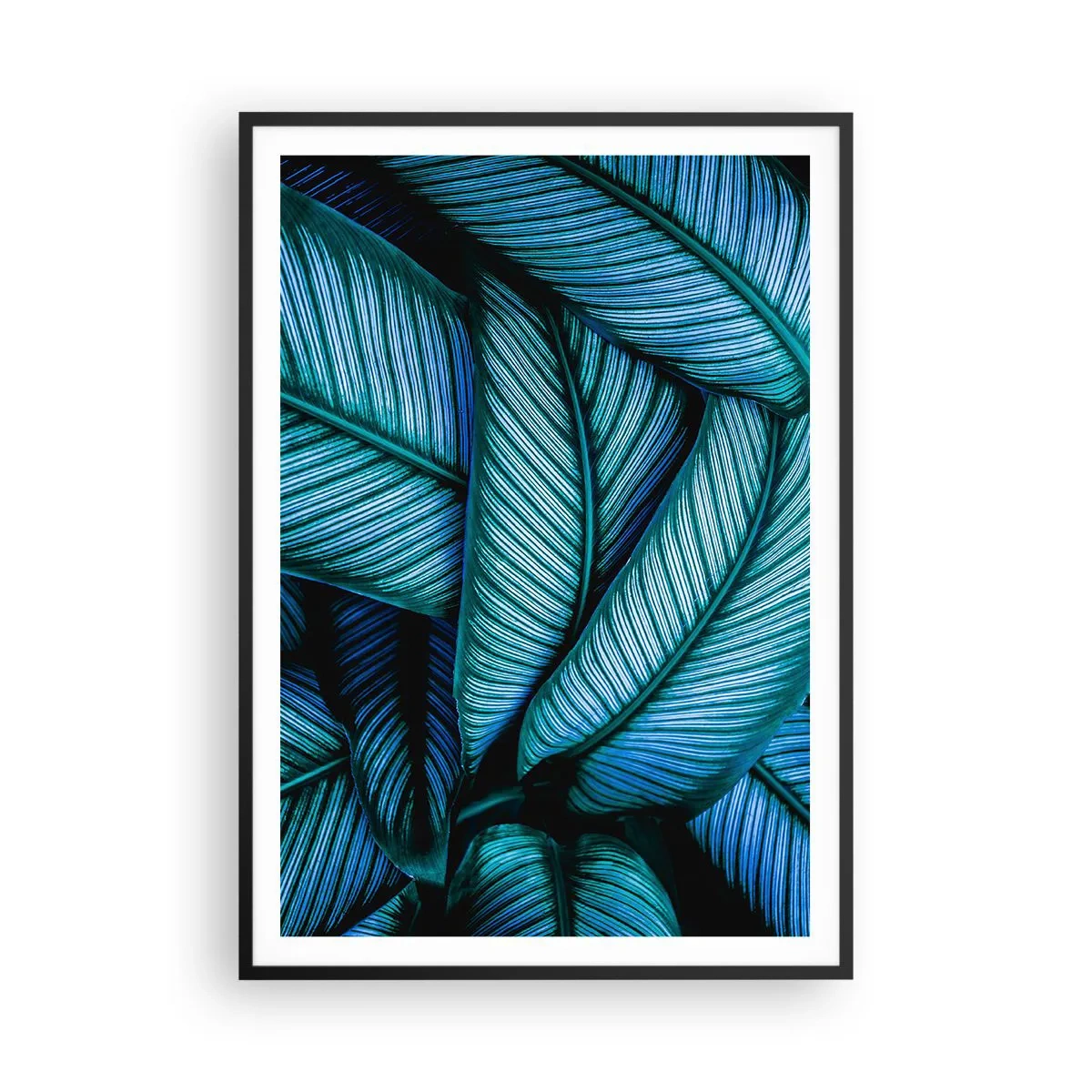 Affiche dans un cadre noir - Poster - Lignes de vie - 70x100 cm