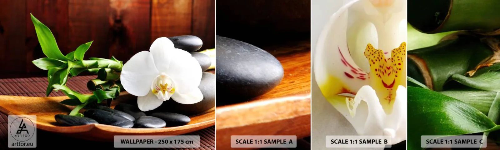 Échantillon De Papier Peint Standard Eco - Cédez au contact de la nature - Fleurs, Orchidée, Orchidée - 100x30 cm