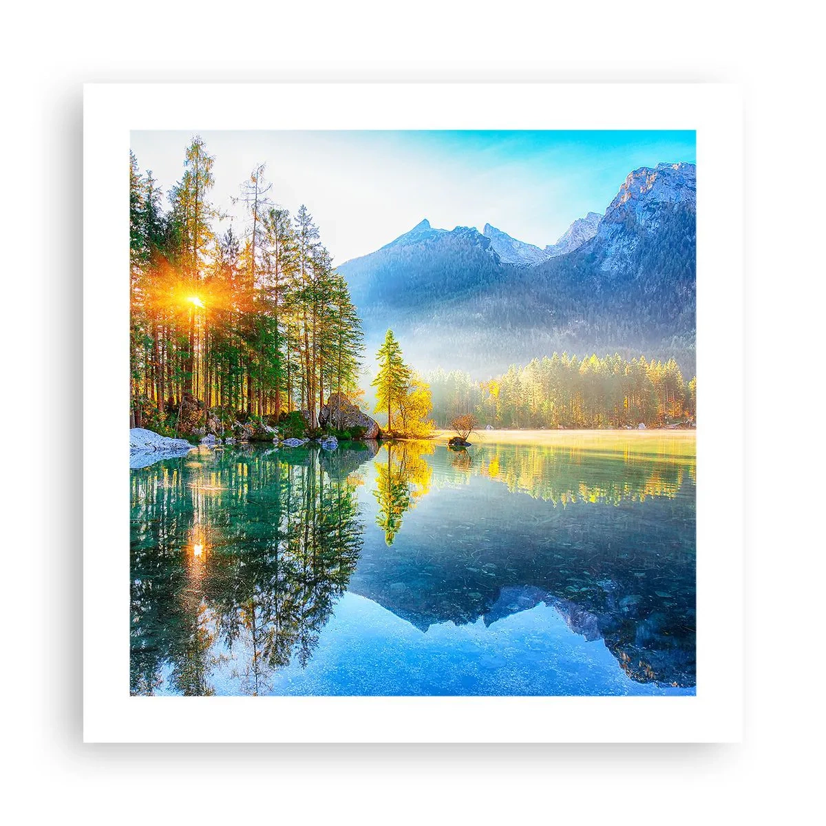 Affiche - Poster - Majesté et douceur - 50x50 cm