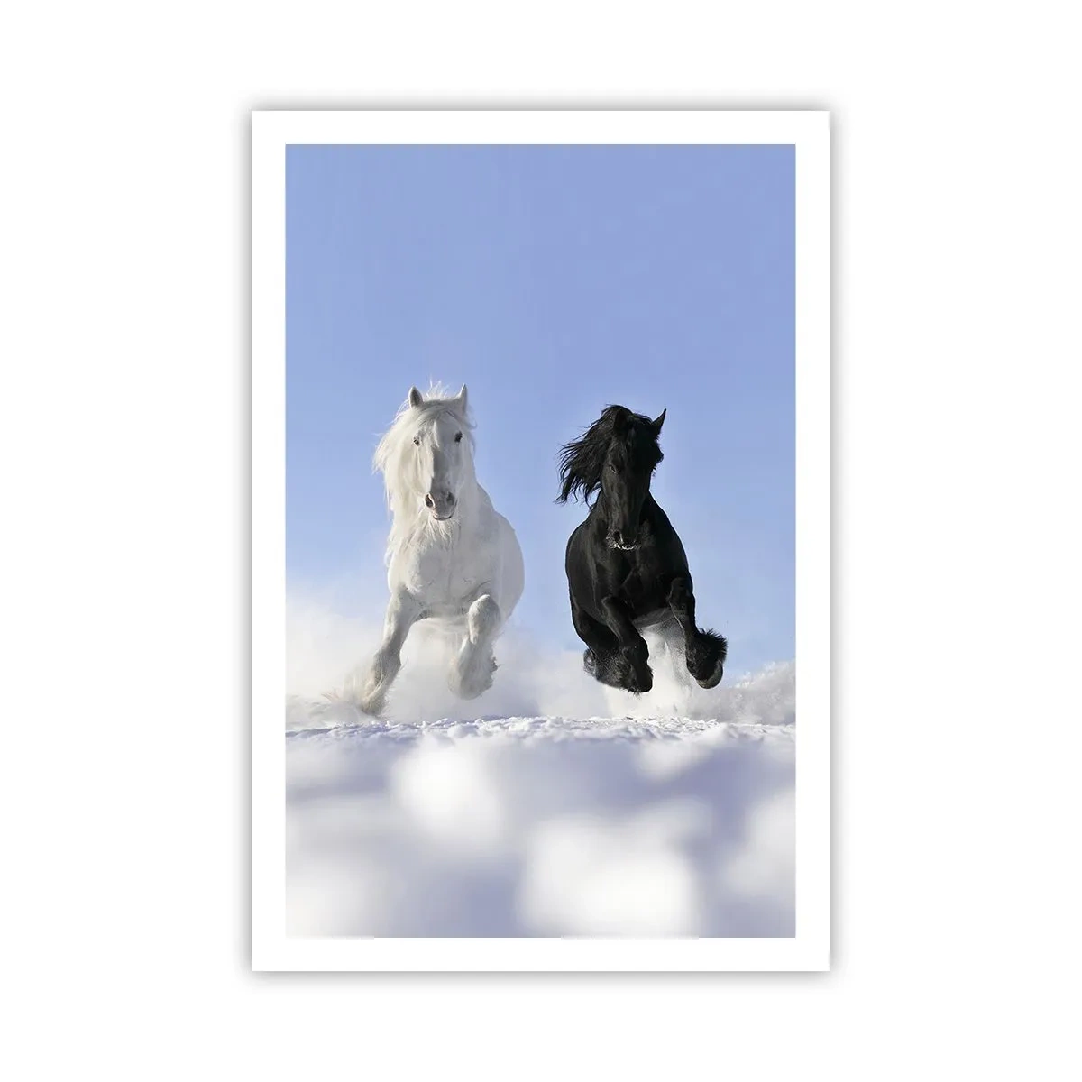 Affiche - Poster - Galop noir et blanc - 61x91 cm