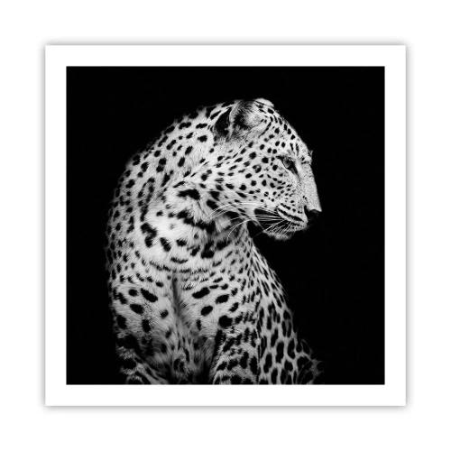 Affiche - Poster - Presque un profil parfait! - 60x60 cm