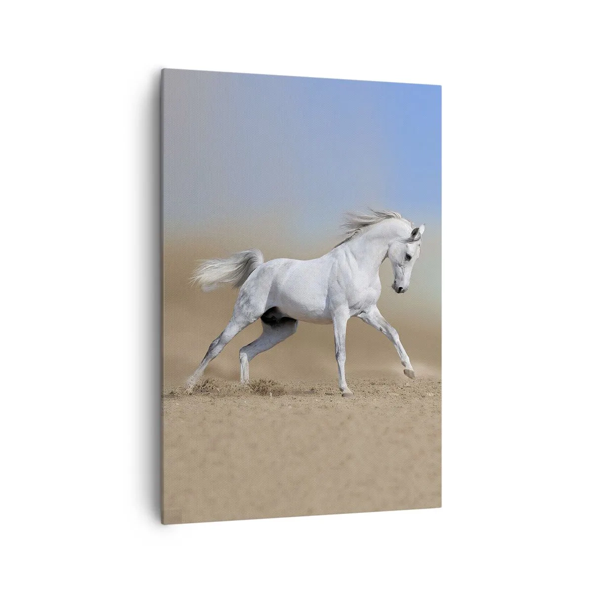 Impression sur toile - Image sur toile - Un cheval blanc galopant à travers un paysage désertique - 70x100cm - Le plus beau conte de fées arabe - Décoration murale moderne pour le salon et la chambre ARTTOR