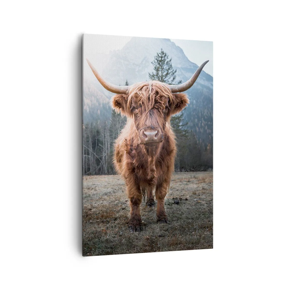 Impression sur toile - Image sur toile - Salutations des prairies de montagne - 80x120 cm