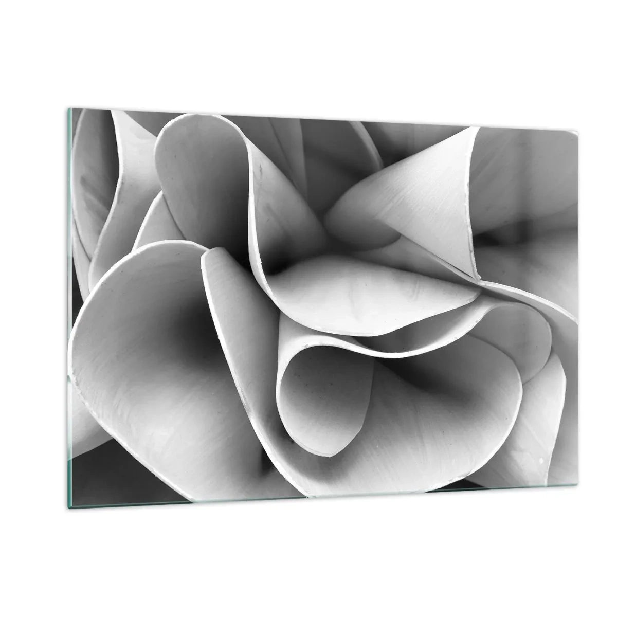 Impression sur verre - Image sur verre - Gros plan noir et blanc de formes spirales abstraites - 120x80cm - Il s'en passe dans l'espace - Décoration murale moderne pour le salon et la chambre ARTTOR