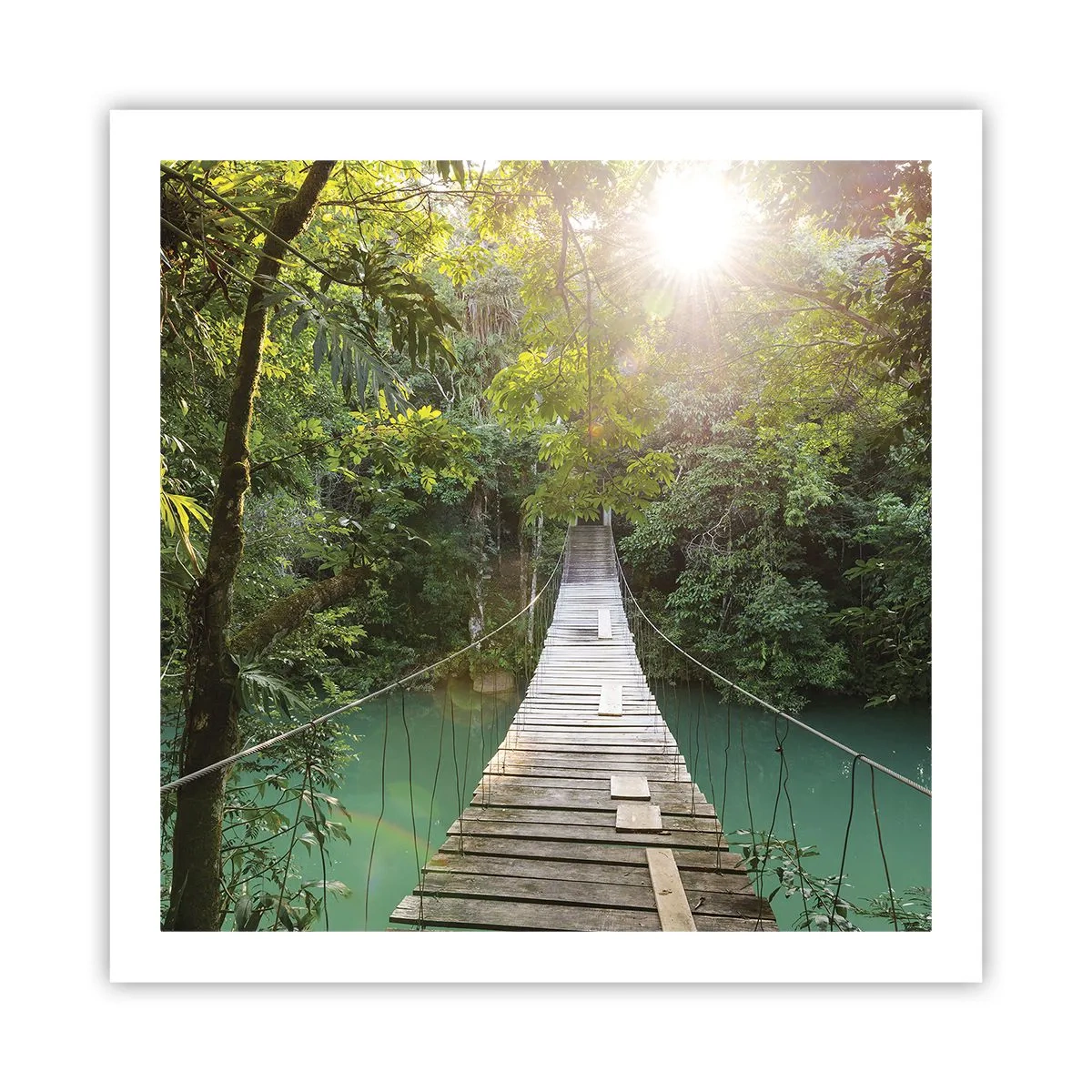 Affiche - Poster - De l'eau azur à la forêt azur - 60x60 cm