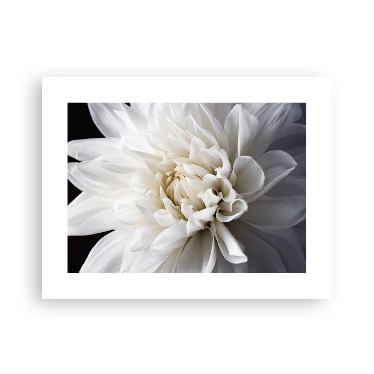 Affiche - Poster - Le matin de la jeune mariéé - 40x30 cm