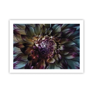 Affiche - Poster - L'apogée de la jeunesse - 70x50 cm