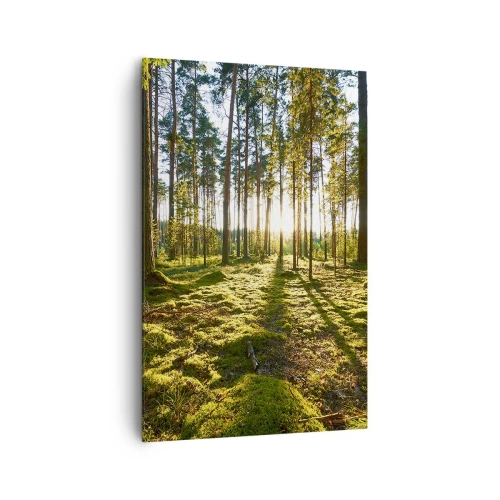 Impression sur toile - Image sur toile - Forêt verte illuminée par la lumière du soleil sur la mousse - 80x120cm - … Derrière les sept forêts - Décoration murale moderne pour le salon et la chambre ARTTOR