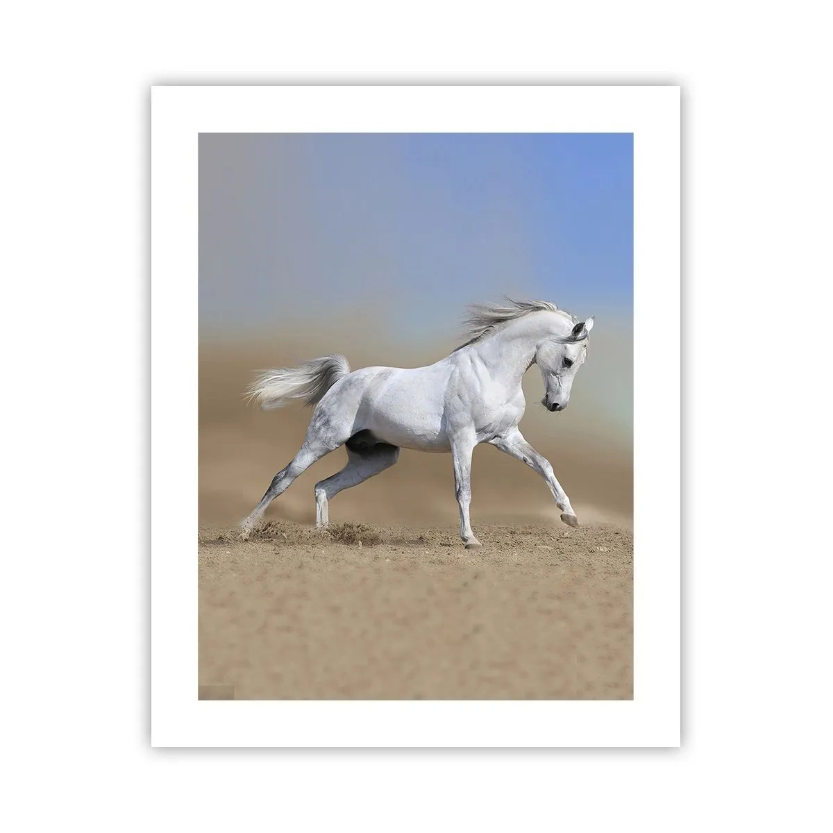 Affiche - Poster - Le plus beau conte de fées arabe - 40x50 cm