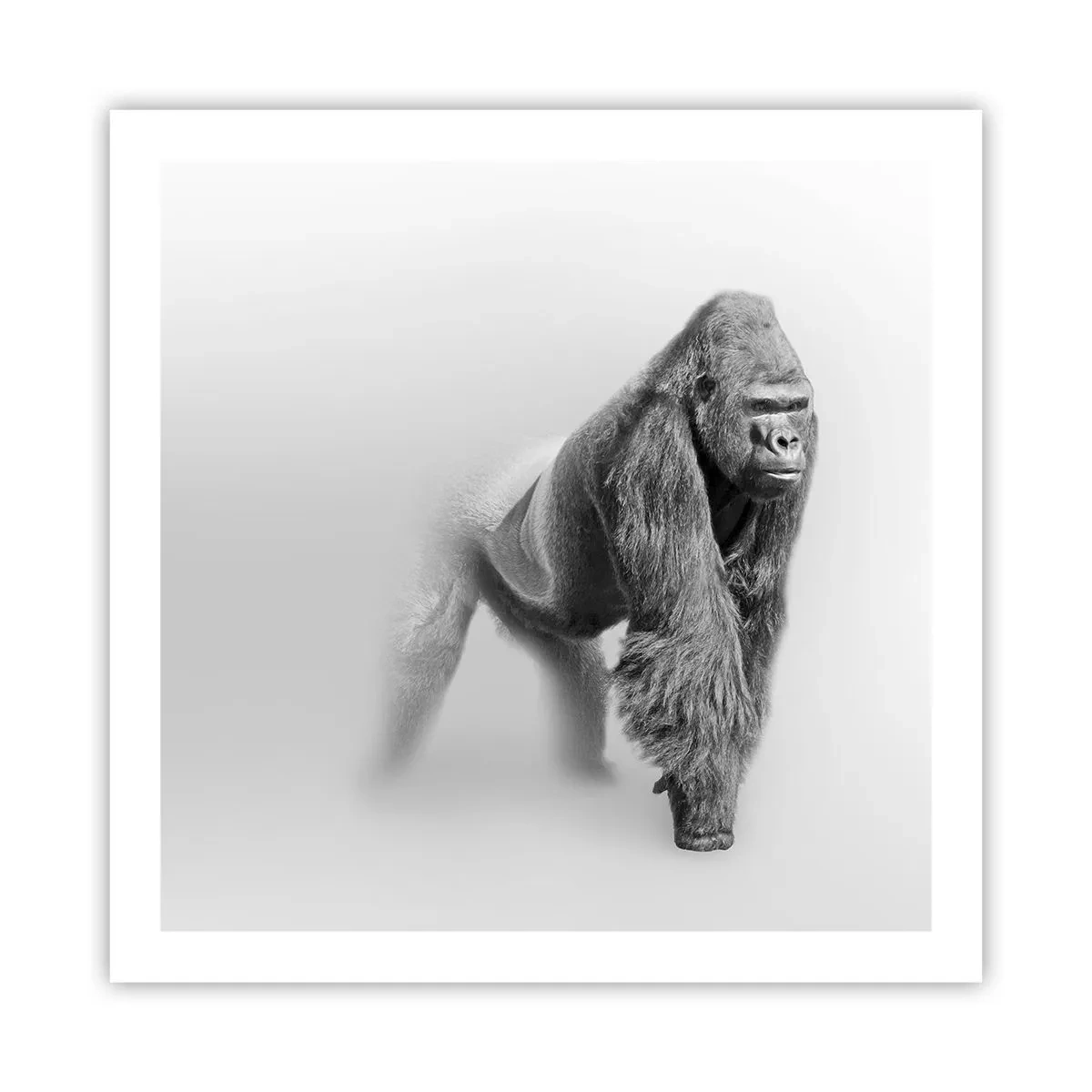 Affiche - Poster - Confiant en sa force - 60x60 cm