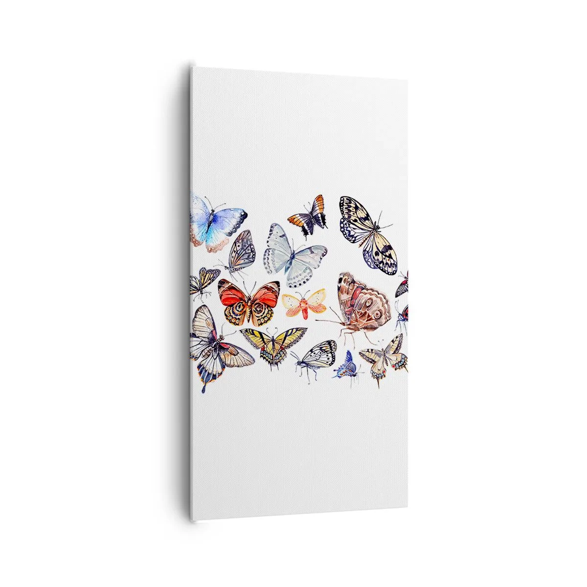 Impression sur toile - Image sur toile - Essaim de dentelle et de couleurs - 65x120 cm