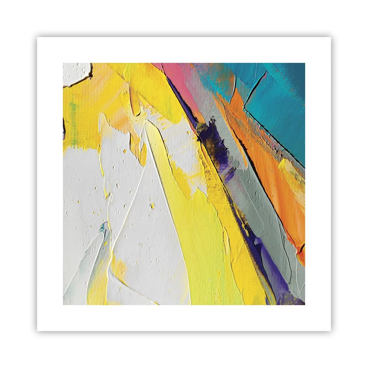 Affiche - Poster - Anatomie du monde - 40x40 cm