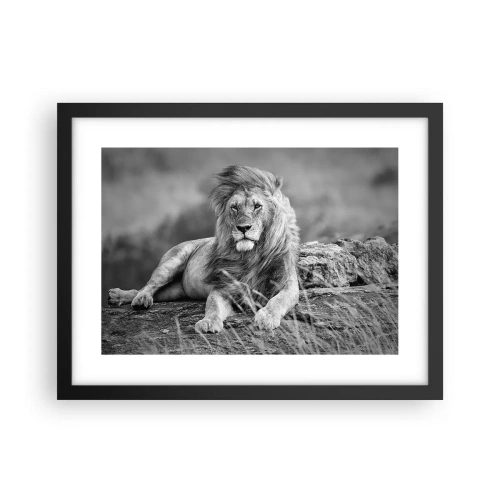 Affiche dans un cadre noir - Poster - Sieste royale - 40x30 cm