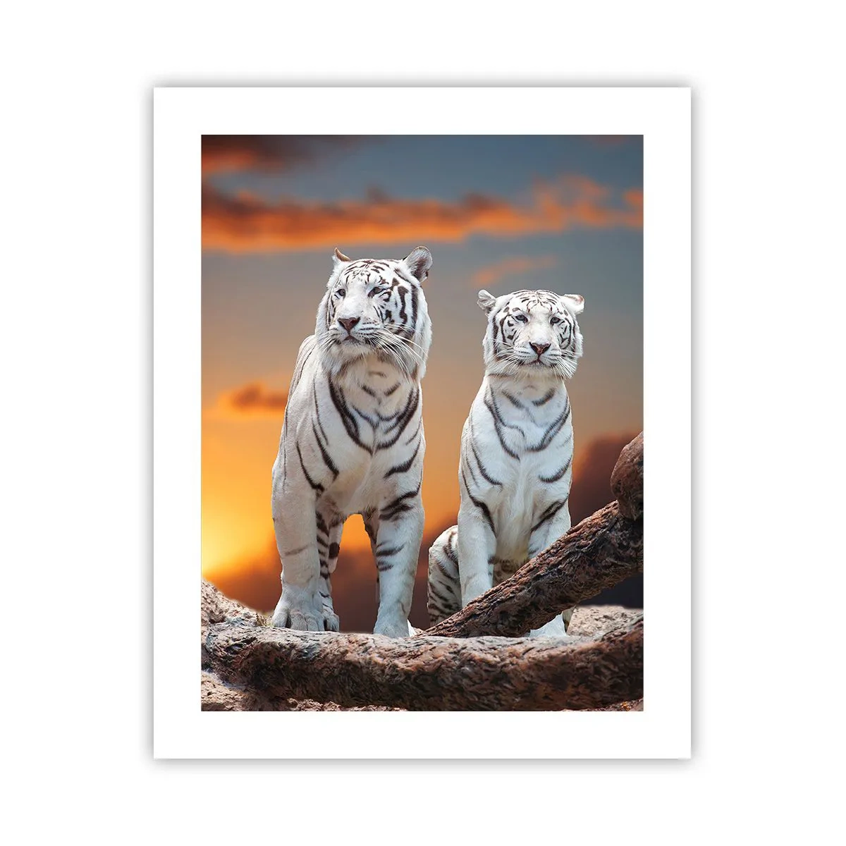 Affiche - Poster - Tout comme à Narnia - 40x50 cm