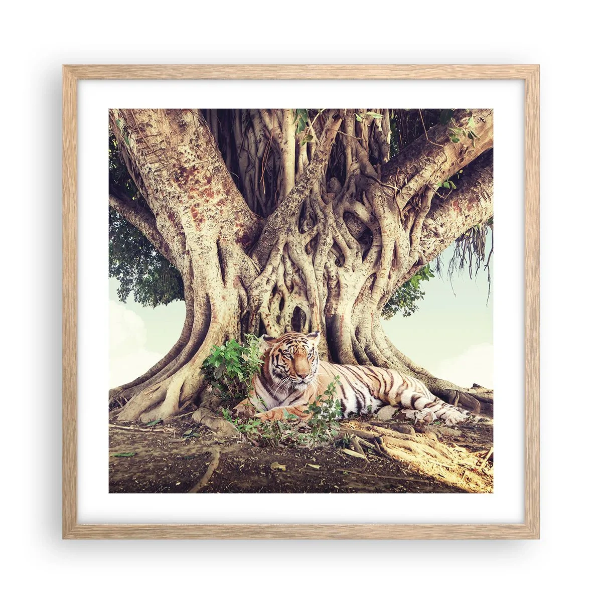 Affiche dans un chêne clair - Poster - Vue du Livre de la Genèse - 50x50 cm