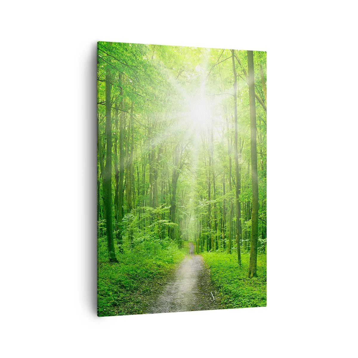 Impression sur toile - Image sur toile - Chemin dans la forêt avec les rayons du soleil - 70x100cm - Cathédrale verte - Décoration murale moderne pour le salon et la chambre ARTTOR