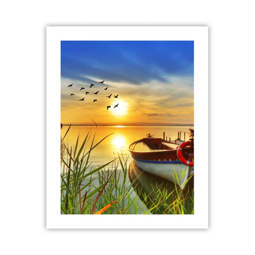 Affiche - Poster - Les cormorans s'envolent déjà - 40x50 cm