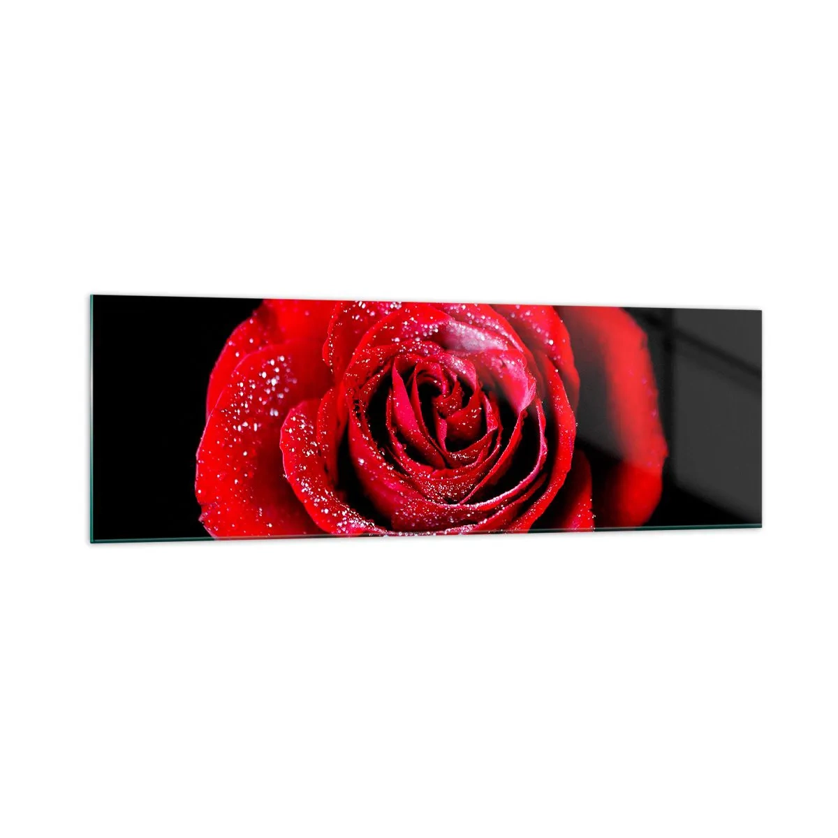 Impression sur verre - Image sur verre - Une rose rouge couverte de gouttes de rosée sur fond noir. - 160x50cm - C'est ça l'amour - Décoration murale moderne pour le salon et la chambre ARTTOR