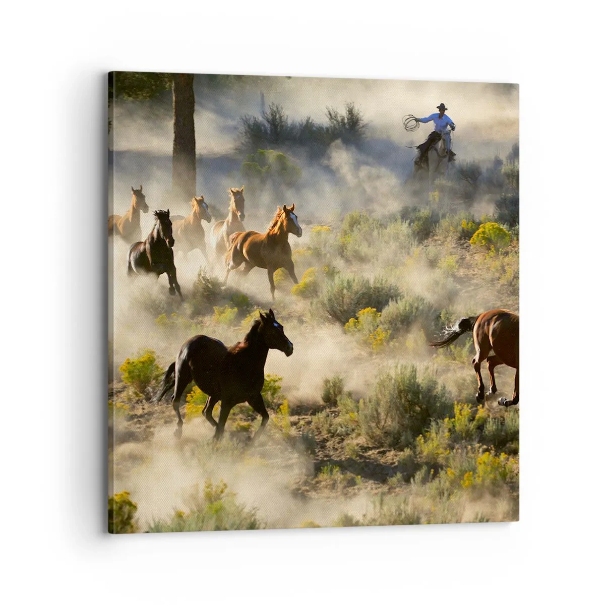 Impression sur toile - Image sur toile - Rivalité - liberté ou force masculine ? - 70x70 cm