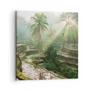 Impression sur toile - Image sur toile - Grandir au soleil - 70x70 cm