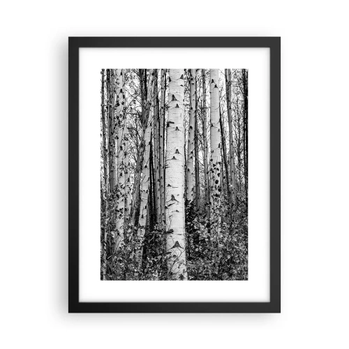 Affiche dans un cadre noir - Poster - Enchevêtrement de bouleau - 30x40 cm