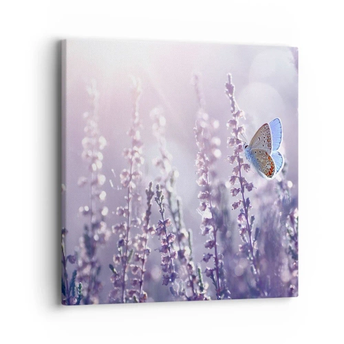 Impression sur toile - Image sur toile - Baiser de papillon - 40x40 cm