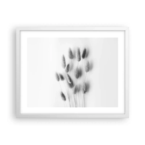 Affiche dans un cadre blanc - Poster - Son herbe duveteuse - 50x40 cm