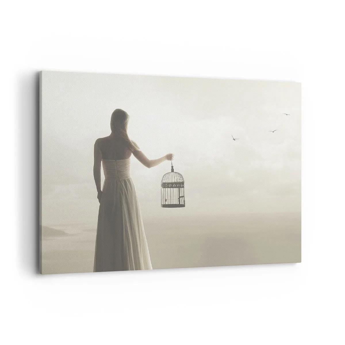 Impression sur toile - Image sur toile - Une femme avec une cage contre un ciel calme - 100x70cm - Soi libre - Décoration murale moderne pour le salon et la chambre ARTTOR
