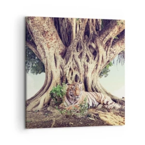 Impression sur toile - Image sur toile - Vue du Livre de la Genèse - 50x50 cm