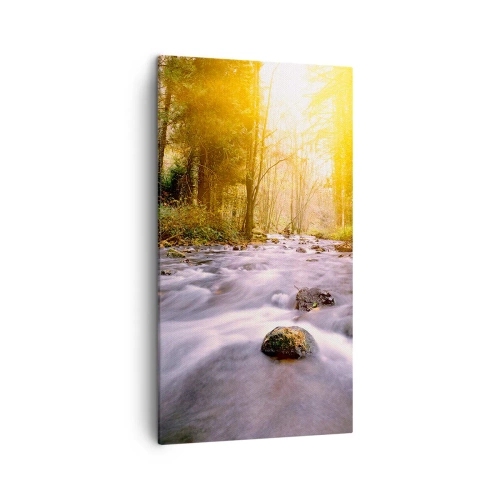 Impression sur toile - Image sur toile - Malachite dans un cadre argent et or - 45x80 cm